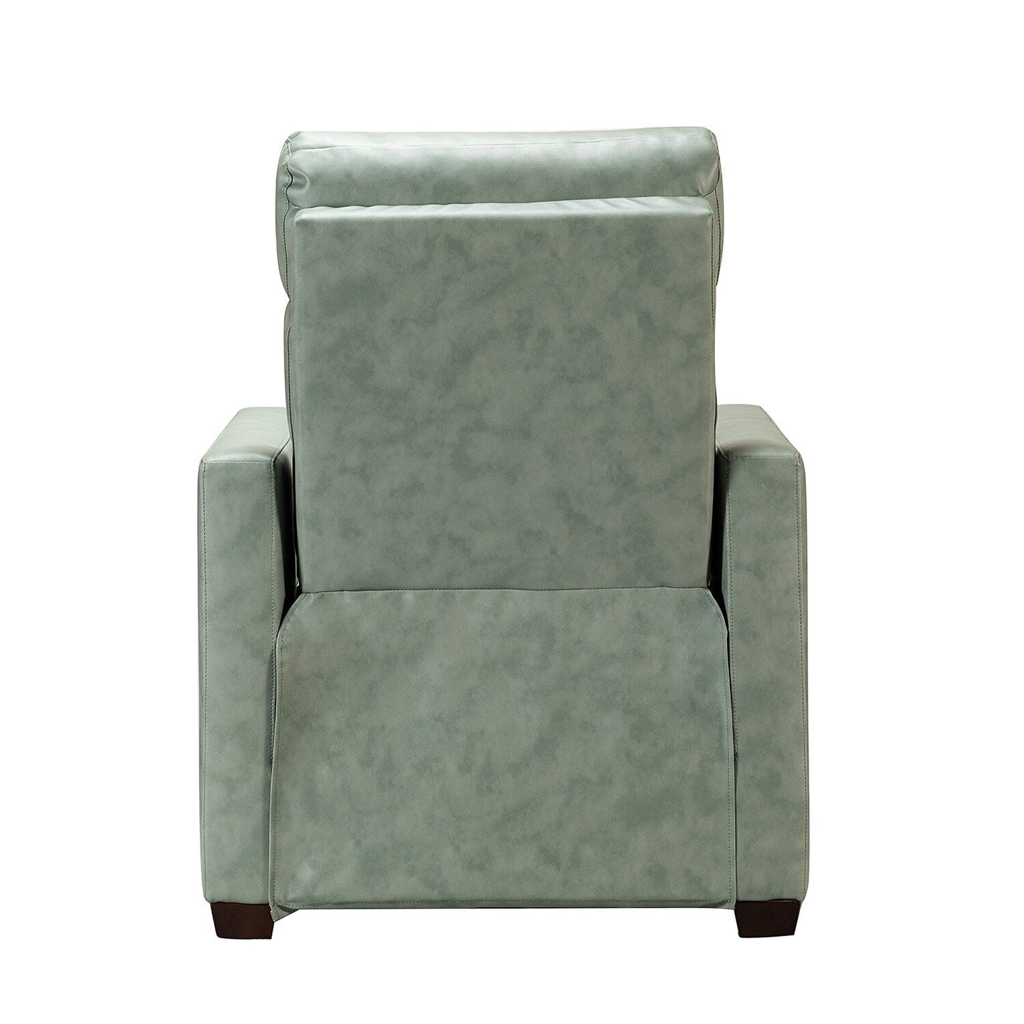 Alina 31.50 Wide Genuine Leather Power Recliner with USB Port