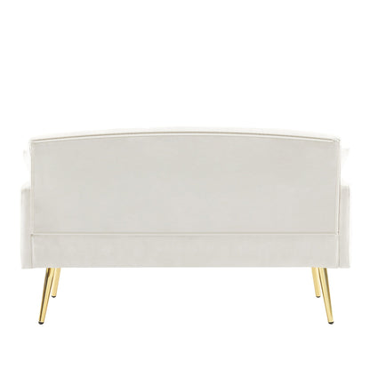 55.5 Velvet 2-Seater Sofa with 2 Pillows, Contemporary Design, and Easy Assembly