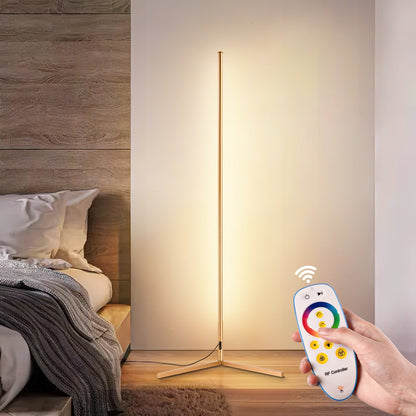 55 RGB Metal Corner Lamp Minimalist LED Floor Lamp