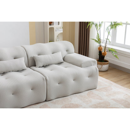 90 Foam Spring 2-Seater Sofa with No-Assembly Design