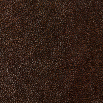Alicia 32.68 Wide Genuine Leather Manual Recliner