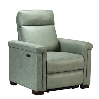 Alicia 34.65 Wide Contemporary Classic Genuine Leather Power Recliner With USB Port