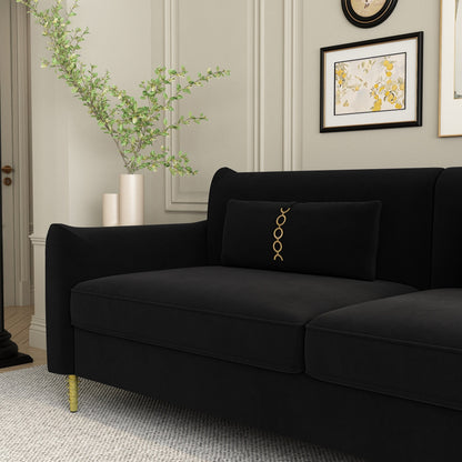 Black Velvet Loveseat Sofa with Gold Legs