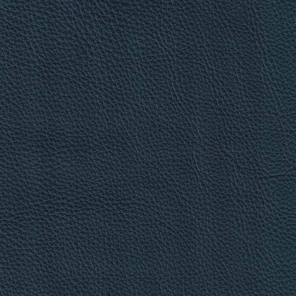 Ivy Living Cassia Top Grain Leather Sofa With Feather, Memory Foam and Springs