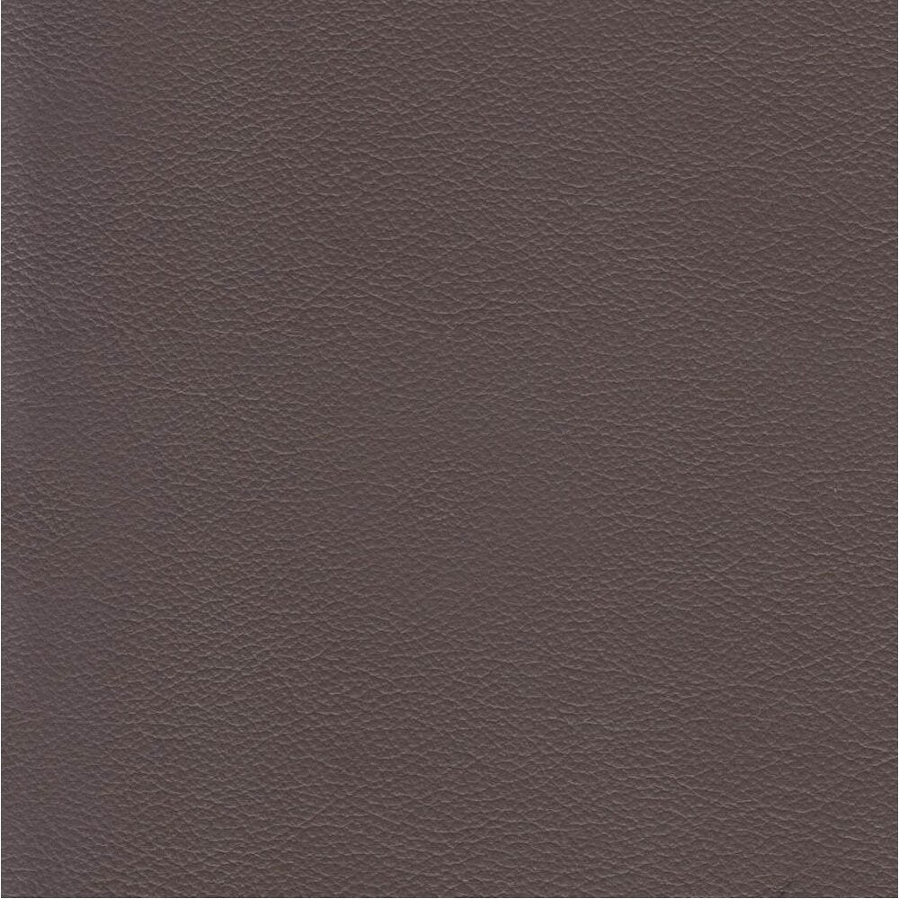 Ivy Living Cassia Top Grain Leather Sofa With Feather, Memory Foam and Springs