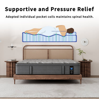 Modland 14-inch Hybrid Medium Euro Top Mattress, Pocket Spring Mattress in a Box