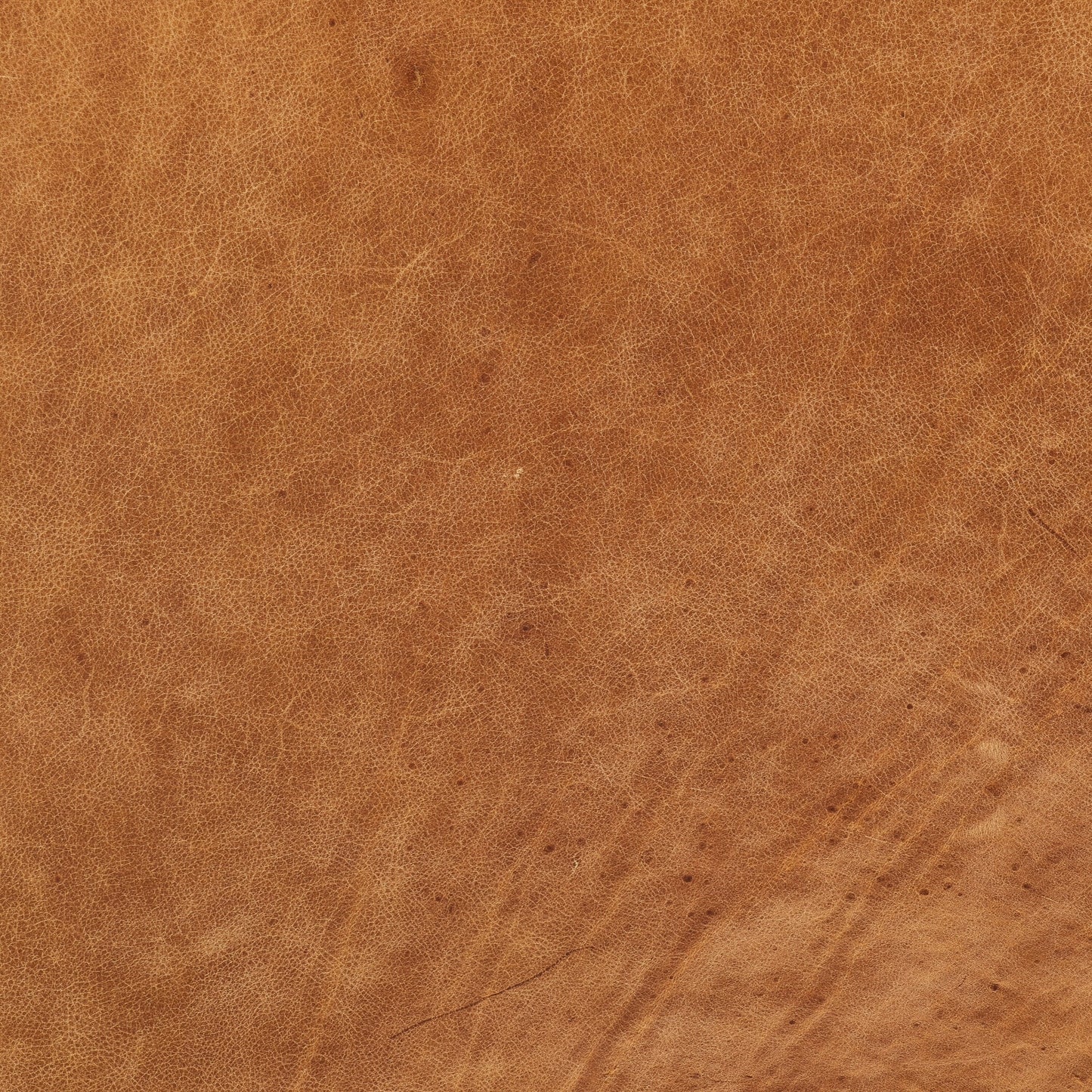 Poly & Bark Canale Sofa - Full Grain Genuine Italian Leather