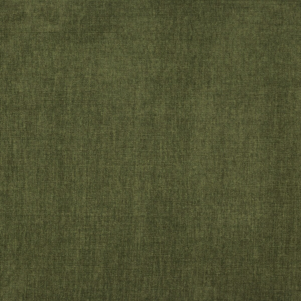 Poly and Bark Napa 82 Pull-Out Sofa Bed in Distressed Green