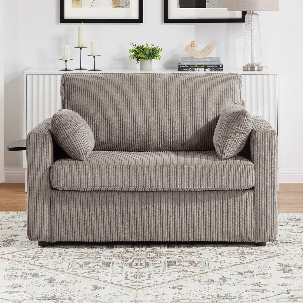 Sleeper Sofa Loveseat Sofa with a Foldable Mattress and Storage Pocket and Two USB Ports - 2 Seat