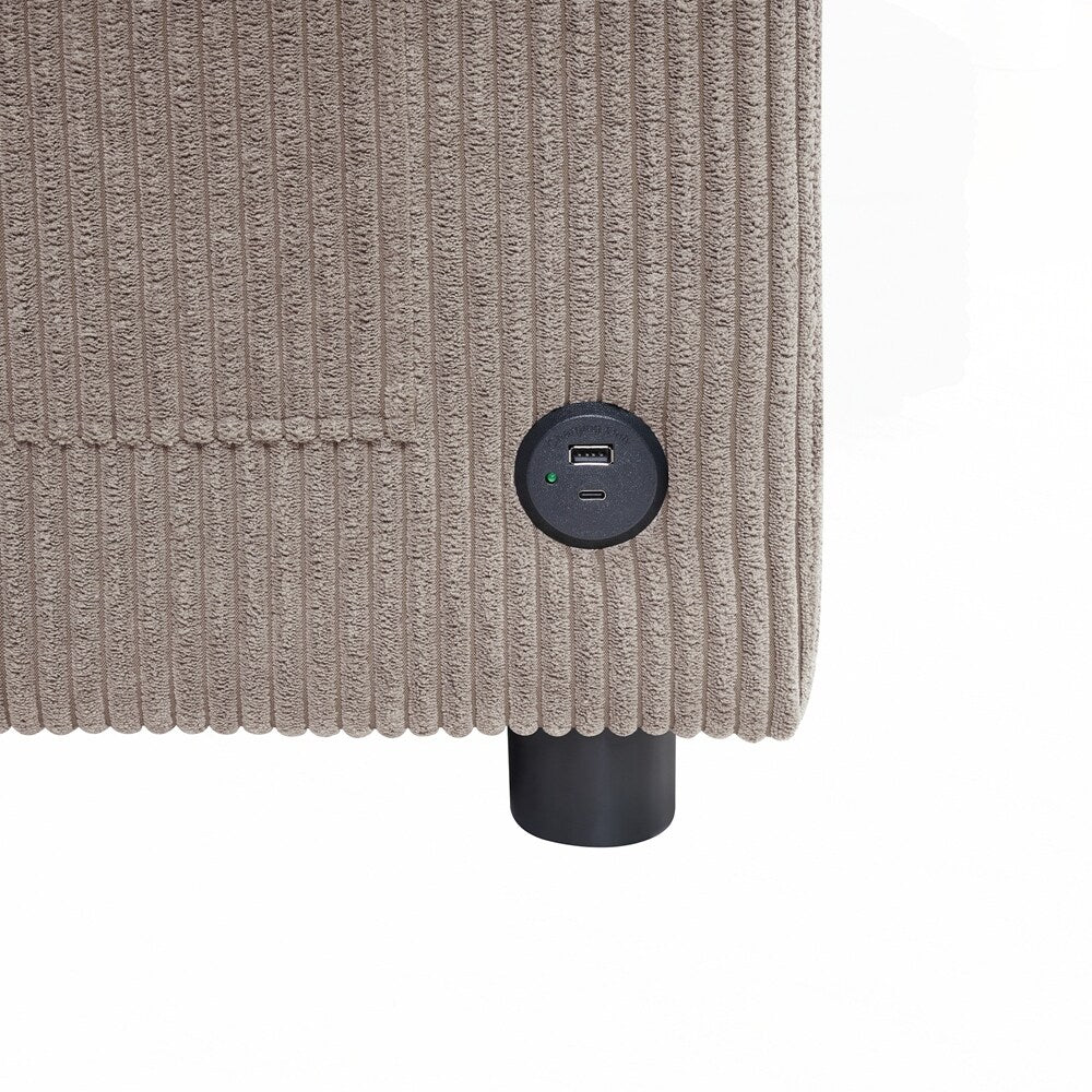 Sleeper Sofa Loveseat Sofa with a Foldable Mattress and Storage Pocket and Two USB Ports - 2 Seat