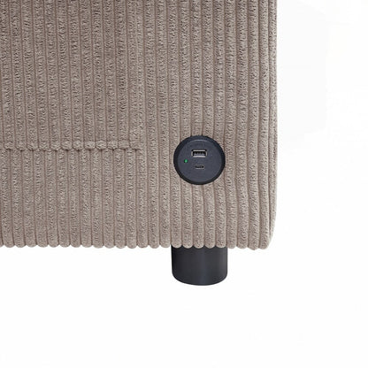 Sleeper Sofa Loveseat Sofa with a Foldable Mattress and Storage Pocket and Two USB Ports - 2 Seat