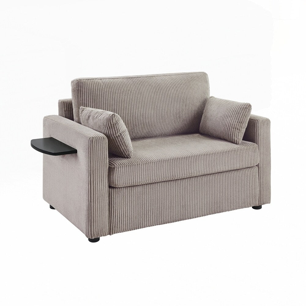 Sleeper Sofa Loveseat Sofa with a Foldable Mattress and Storage Pocket and Two USB Ports - 2 Seat