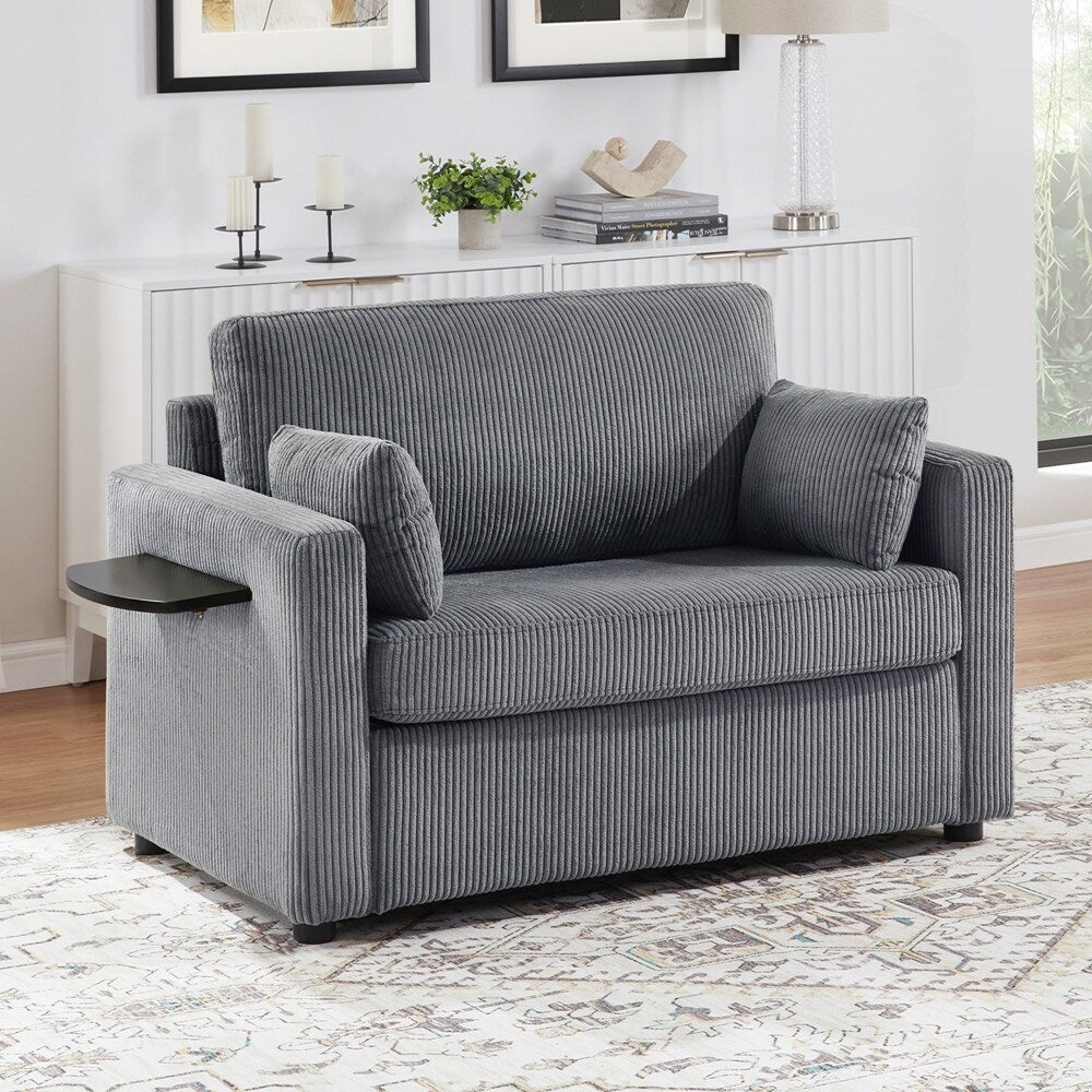 Sleeper Sofa Loveseat Sofa with a Foldable Mattress and Storage Pocket and Two USB Ports - 2 Seat