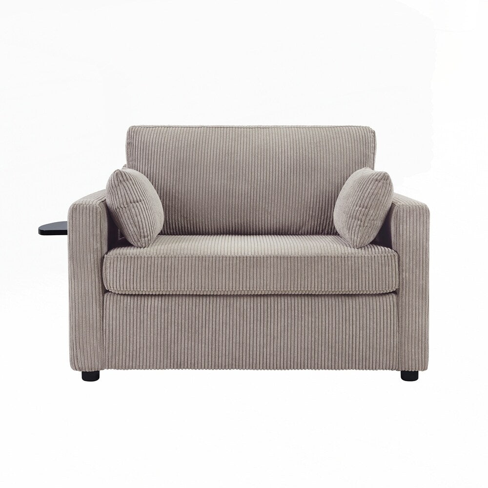 Sleeper Sofa Loveseat Sofa with a Foldable Mattress and Storage Pocket and Two USB Ports - 2 Seat