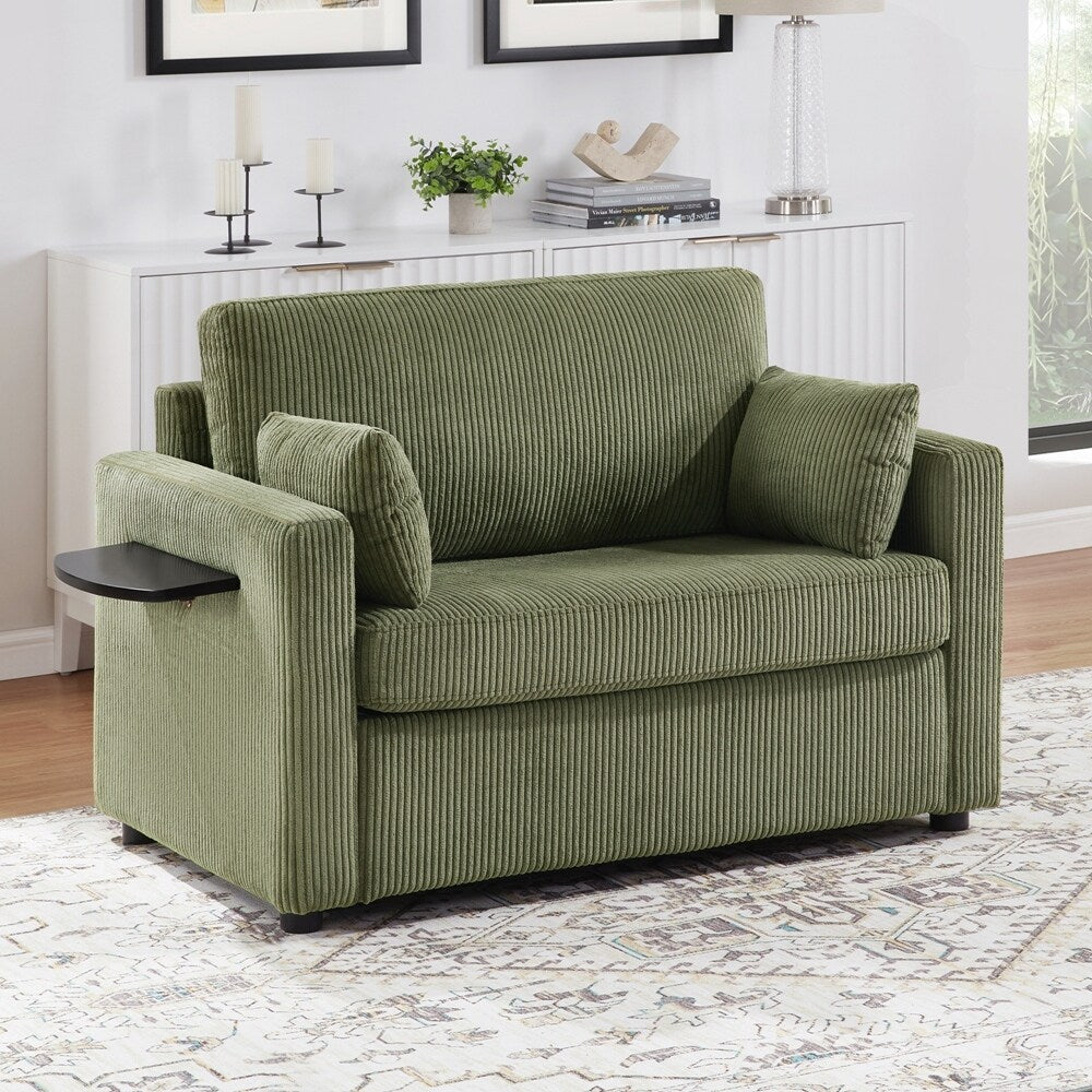 Sleeper Sofa Loveseat Sofa with a Foldable Mattress and Storage Pocket and Two USB Ports - 2 Seat