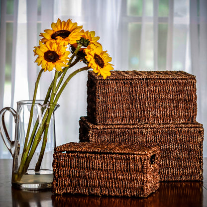 Trademark Innovations Set of 3 Rectangular Seagrass Baskets with Lids (Small)
