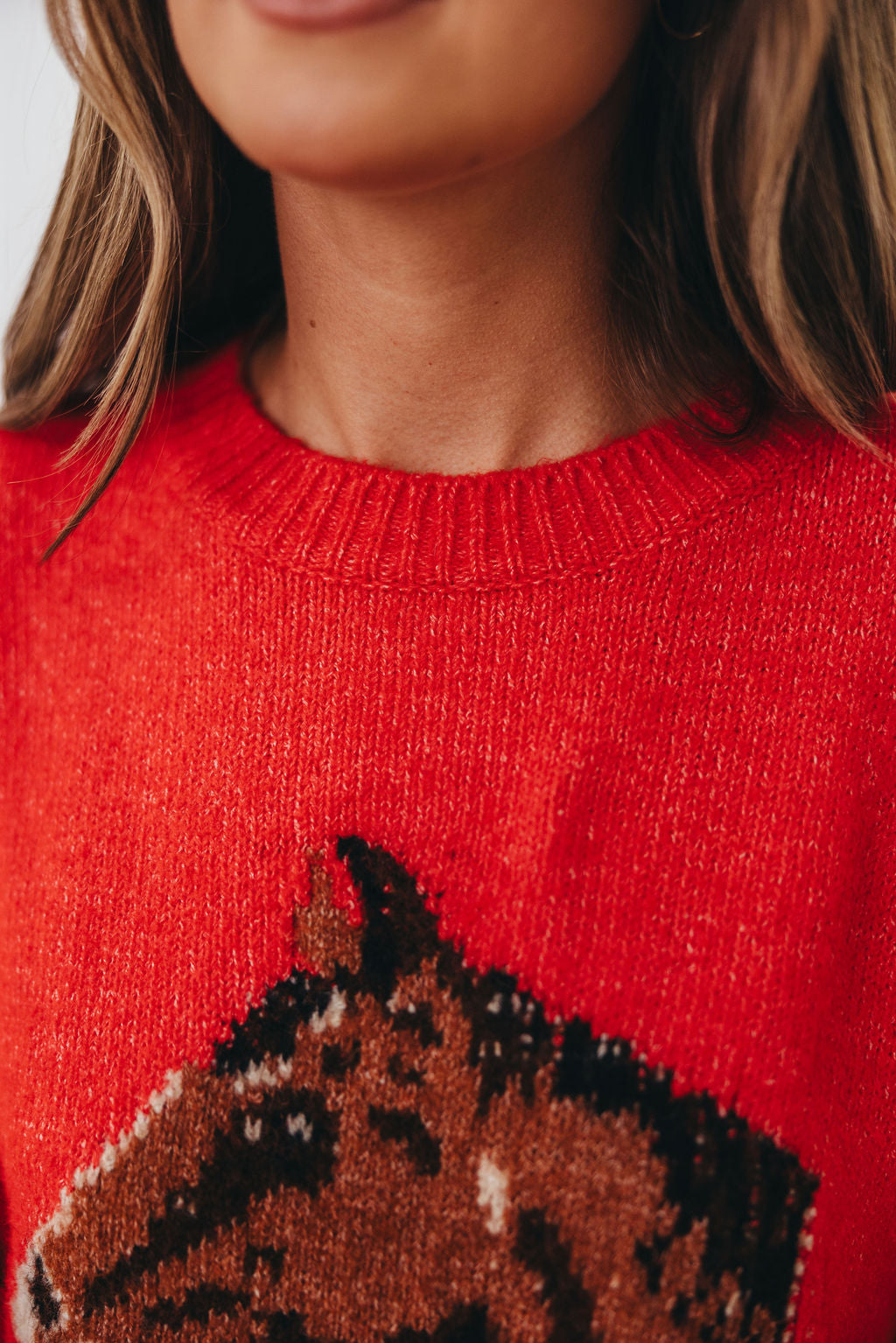 Gallant Horse Graphic Sweater in Red